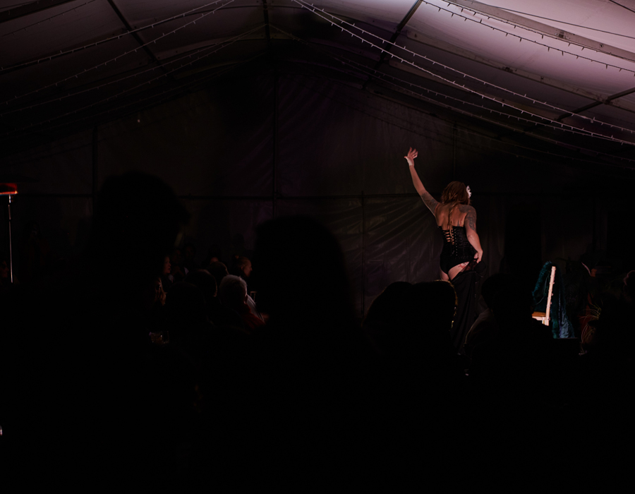 A picture of a performer, Lulu, raising her hand on stage.